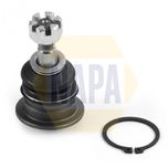 NAPA Ball Joint Rear Outer, Lower NST0220