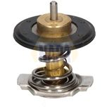 NAPA Coolant Thermostat NTH1181