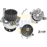 NAPA Water Pump NWP1060