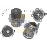 NAPA Water Pump NWP1062