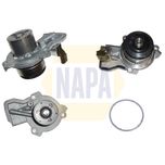 NAPA Water Pump NWP1067