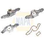 NAPA Water Pump NWP1081