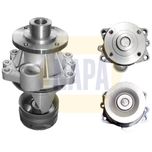 NAPA Water Pump NWP1087