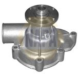 NAPA Water Pump NWP1089