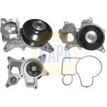 NAPA Water Pump NWP1110