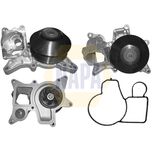 NAPA Water Pump NWP1111