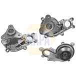 NAPA Water Pump NWP1126