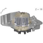 NAPA Water Pump NWP1141