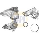 NAPA Water Pump NWP1261