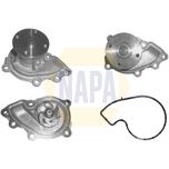 NAPA Water Pump NWP1262