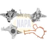 NAPA Water Pump NWP1318
