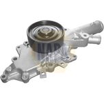 NAPA Water Pump NWP1356