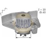 NAPA Water Pump NWP1391