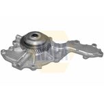 NAPA Water Pump NWP1399