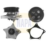 NAPA Water Pump NWP1417