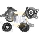 NAPA Water Pump NWP1460
