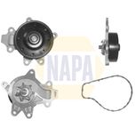 NAPA Water Pump NWP1536