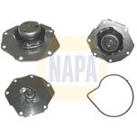NAPA Water Pump NWP1539