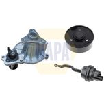 NAPA Water Pump NWP1600