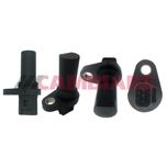 Cambiare RPM / Crankshaft Sensor VE363774