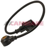 Cambiare Knock Sensor VE369018