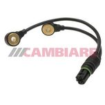 Cambiare Knock Sensor VE369050