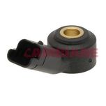 Cambiare Knock Sensor VE369057
