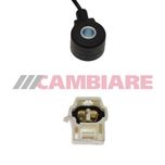 Cambiare Knock Sensor VE369121