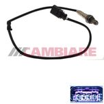 Cambiare Lambda Sensor VE381749