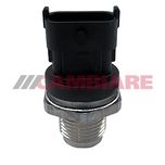 Cambiare Fuel Pressure Sensor VE524022