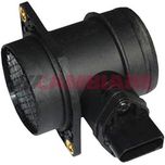 Cambiare Air Mass Sensor VE700181