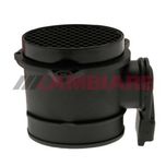 Cambiare Air Mass Sensor VE700265