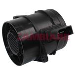 Cambiare Air Mass Sensor VE700420