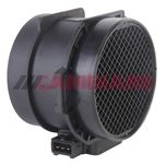 Cambiare Air Mass Sensor VE700438
