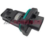 Cambiare Air Mass Sensor VE700453