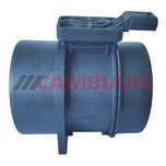 Cambiare Air Mass Sensor VE700487