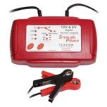 Sterling Power 12V 5A Portable Battery Charger B125