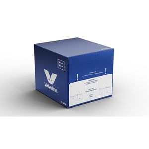 Valvoline Synpower FE 0W20 - bag in box 20L 906685