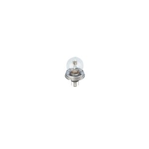 Bosch Headlight Bulb 1987302023