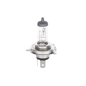 Bosch Headlight Bulb 1987302049