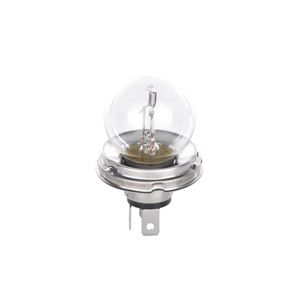Bosch Truck/Ltr2 24v 55/50w P45t Tblb429 1987302421