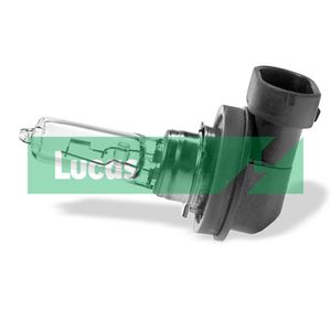 Lucas Headlight Bulb LLX9005BLX2
