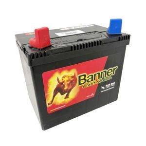 53034 Banner Car Battery 12V 30Ah