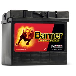 53034 Banner Caterham Car Battery 12V 30Ah