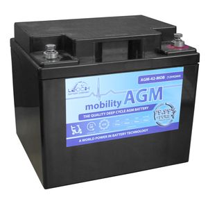 Leoch AGM 42 Mobility Battery 12V 42Ah