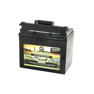 Leoch LG-C280 Tbar AGM Golf Battery 12V 38Ah