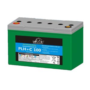 Leoch Pure Lead Carbon AGM 12V 100Ah Battery (PLH+C 100)