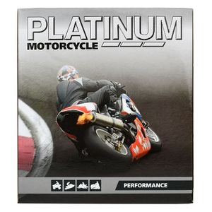 B39-6 PLATINUM Motorcycle Battery