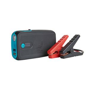 RING RPPL250 Portable Lithium Jump Starter with Wireless Power Bank 12V 200A