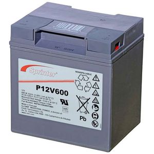 P12V600 Sprinter P Network Battery